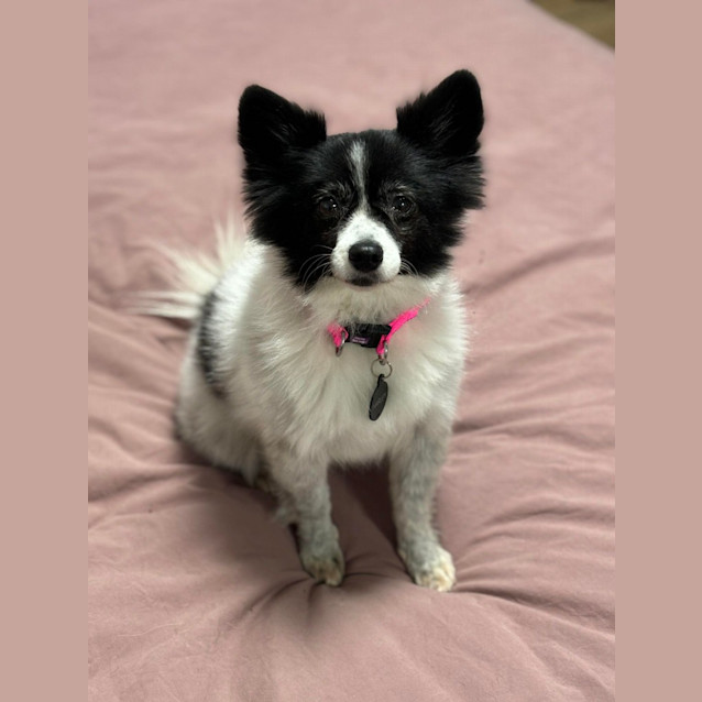 Photo of Charlee