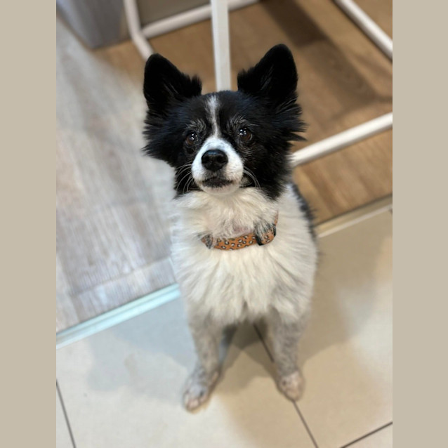 Photo of Charlee