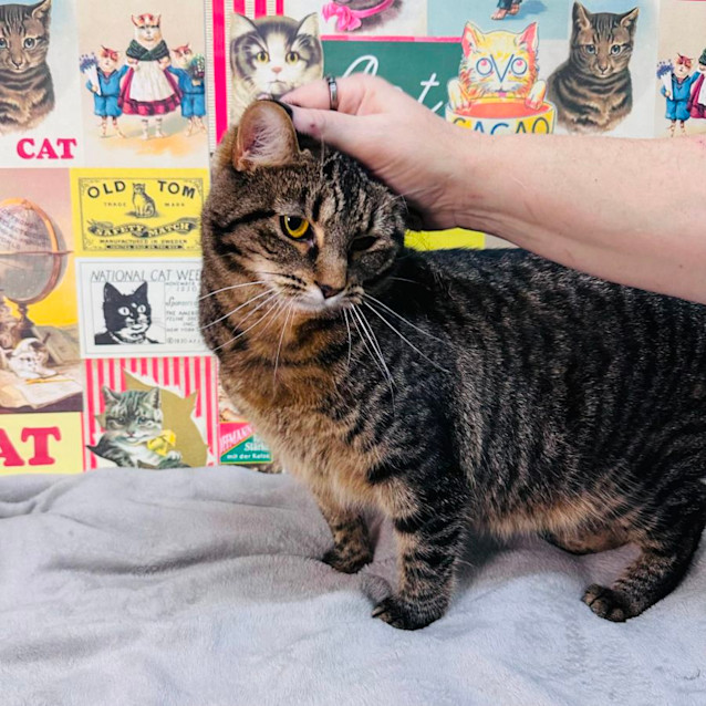 Photo of Holly   Located In Preston