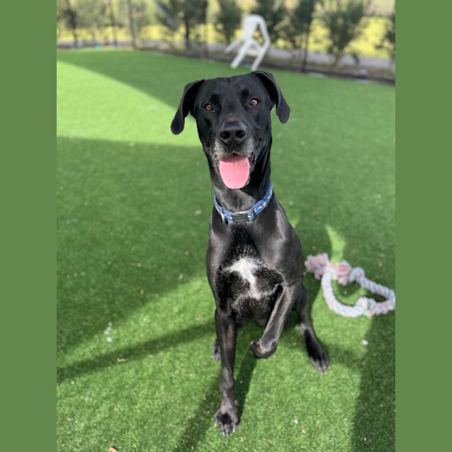 Photo of Gucci Imp 884