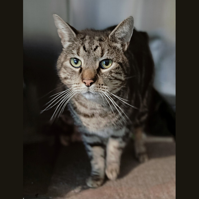 Photo of Barnaby