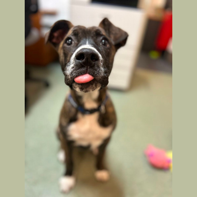 Photo of Sam