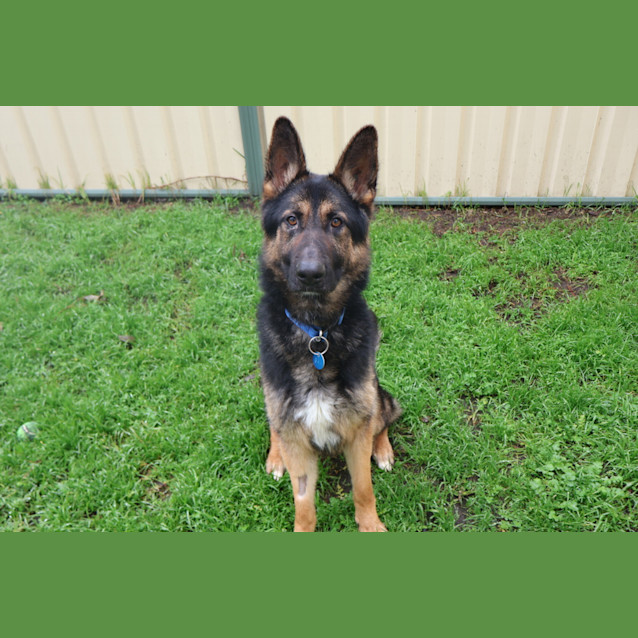 Photo of Tex
