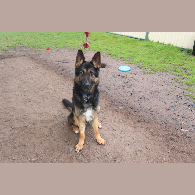 Photo of Tex