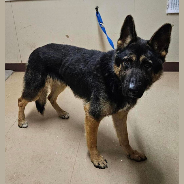 Photo of Tex