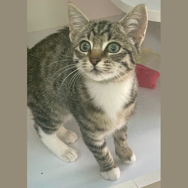 Photo of Greg (6539)