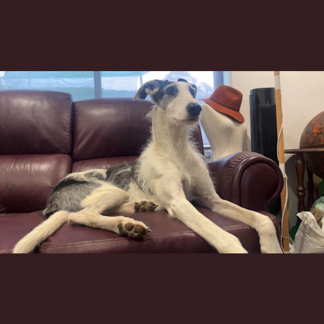 Photo of Sally
