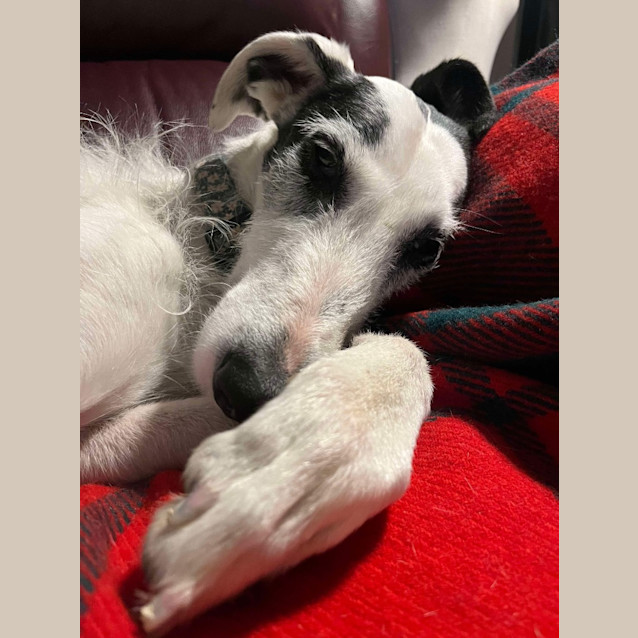 Photo of Sally