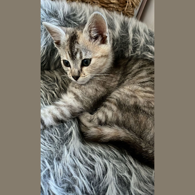 Photo of Marsha
