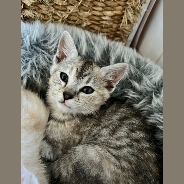 Photo of Marsha