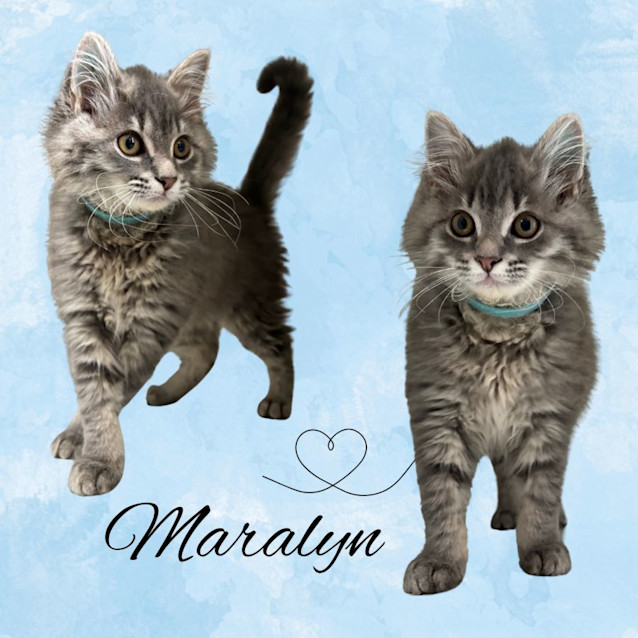 Photo of Maralyn