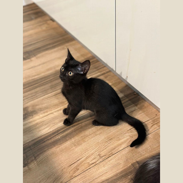 Photo of 🍫🍒 Cherry Ripe 🍒🍫