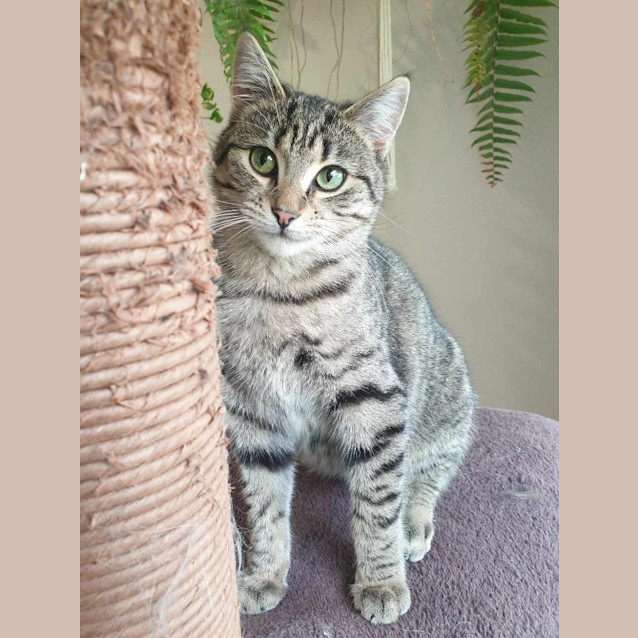 Photo of Tilly