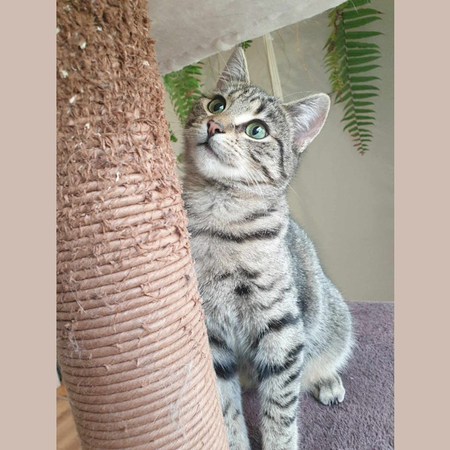 Photo of Tilly