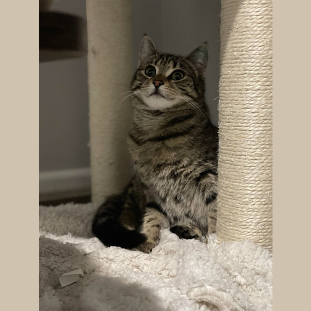 Photo of Tilly