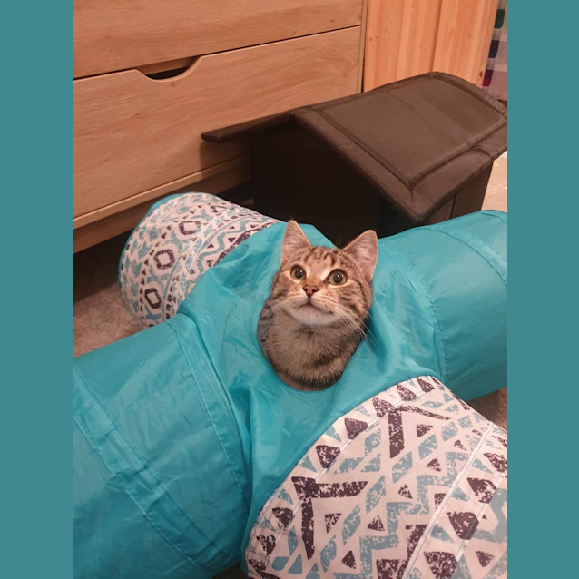 Photo of Tilly
