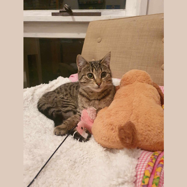 Photo of Tilly