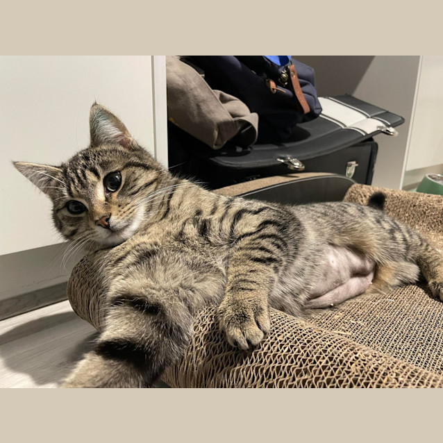 Photo of Tilly