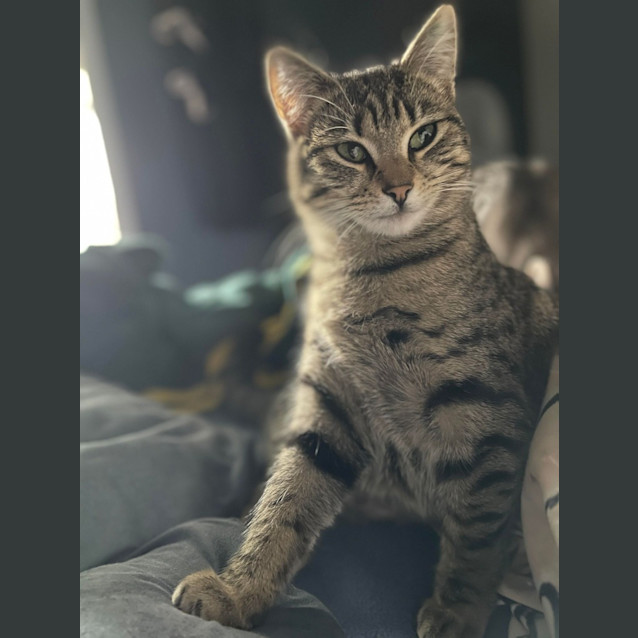 Photo of Tilly