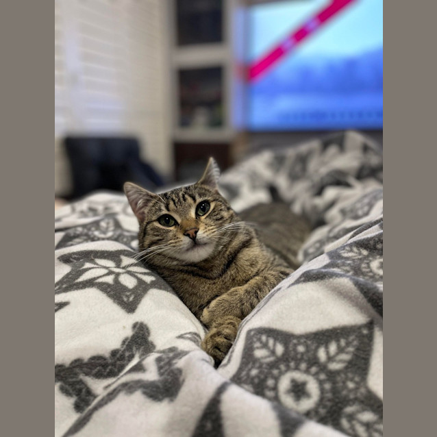 Photo of Tilly