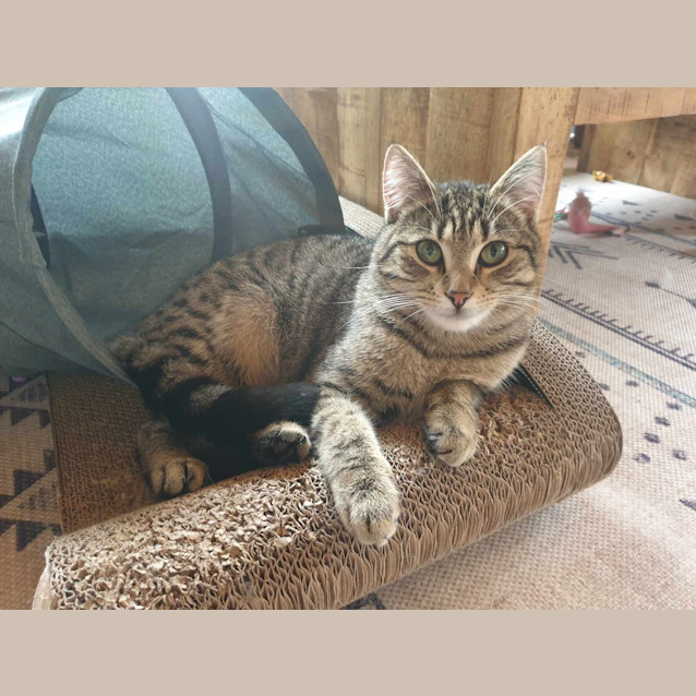 Photo of Tilly