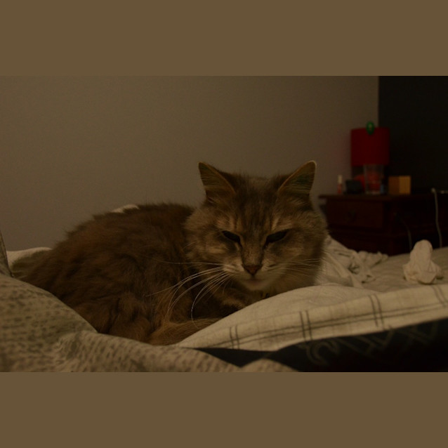 Photo of Missy