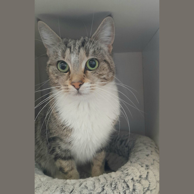 Photo of Lilly
