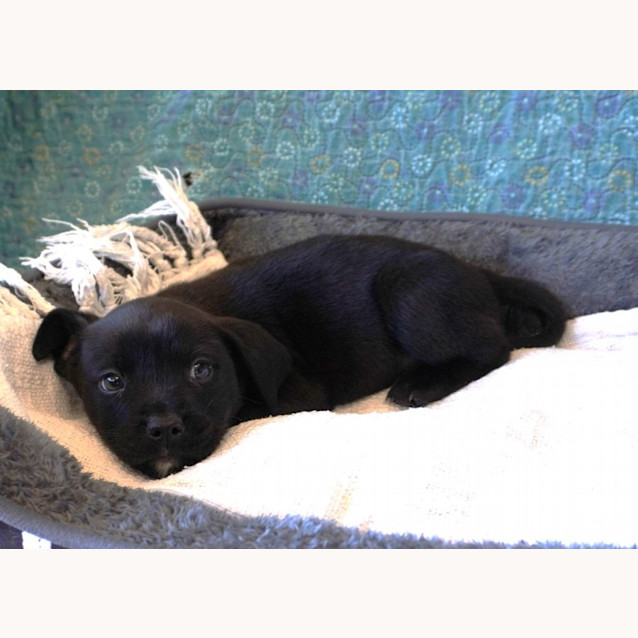 Photo of Thor