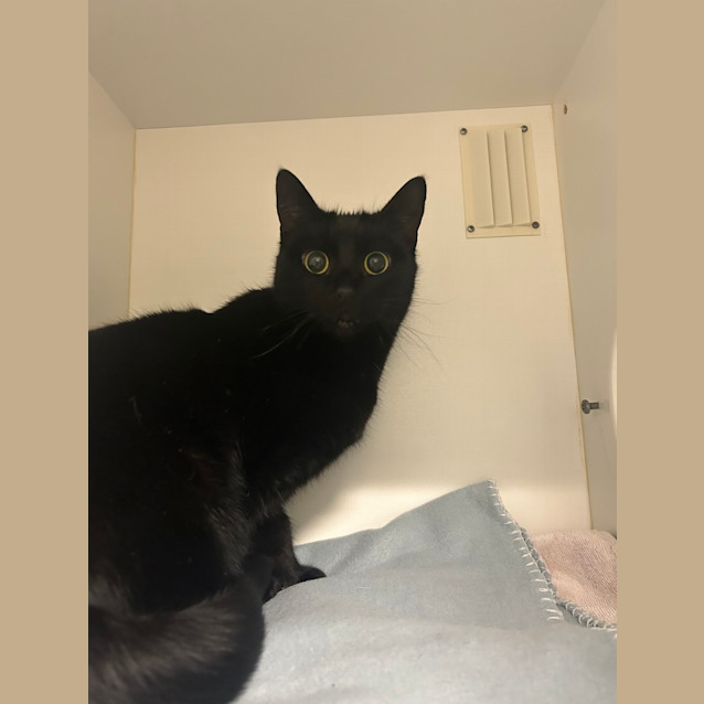 Photo of Klaus