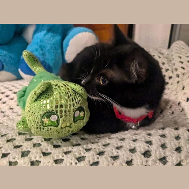 Photo of Violet 🌷