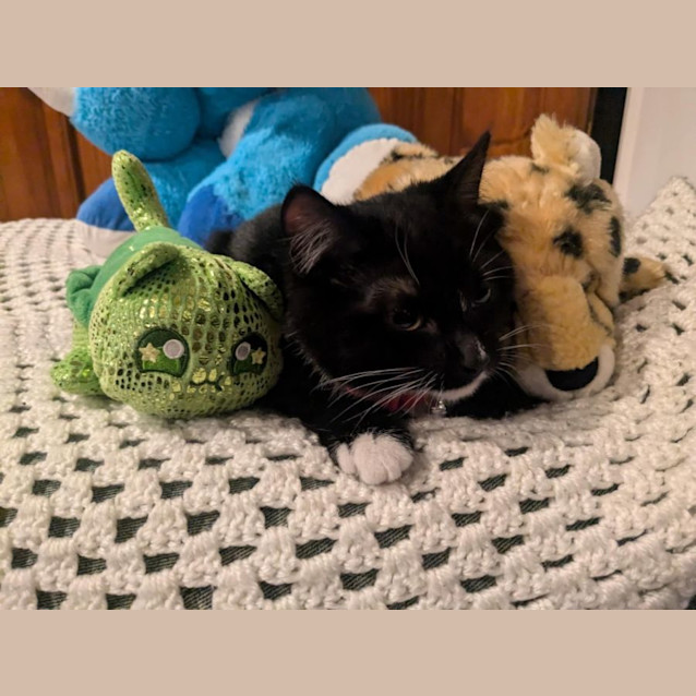 Photo of Violet 🌷