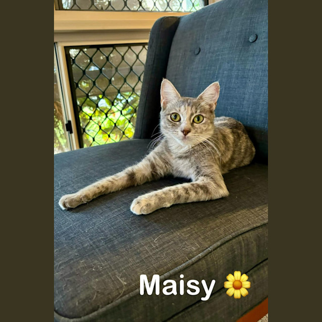 Photo of Maisy