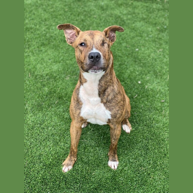 Photo of Jack