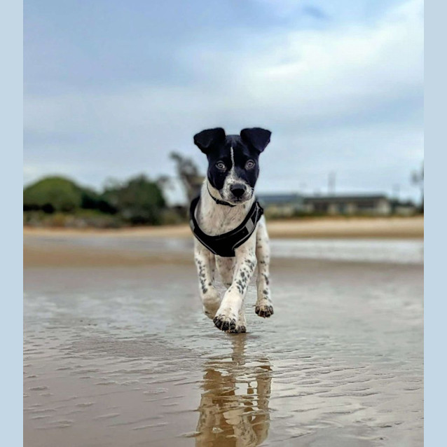 Photo of Daley