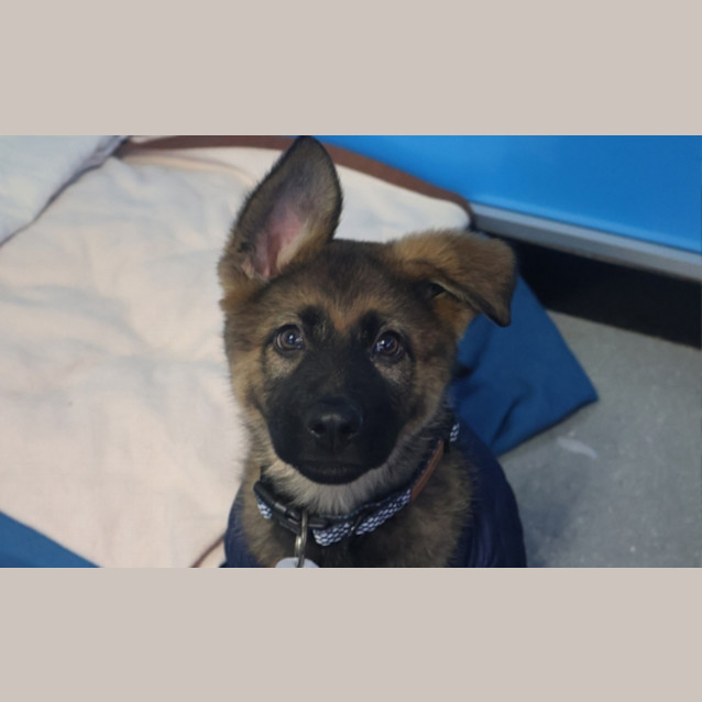 Photo of Lilly