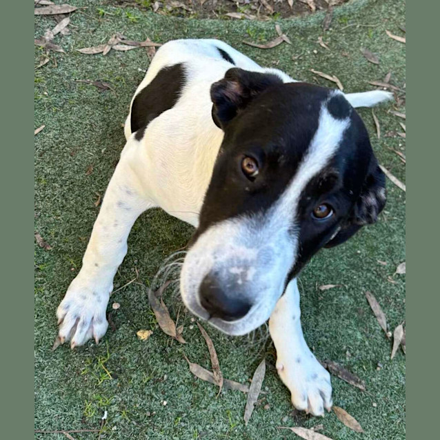 Photo of Greg Simmonds