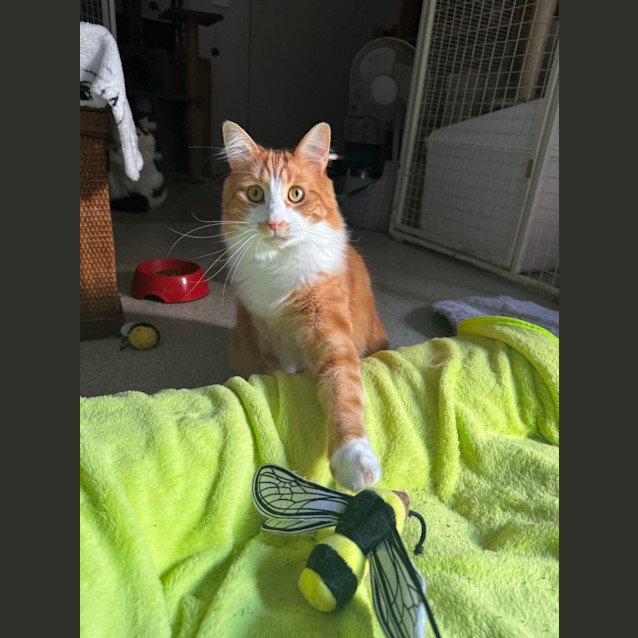 Photo of Jasper