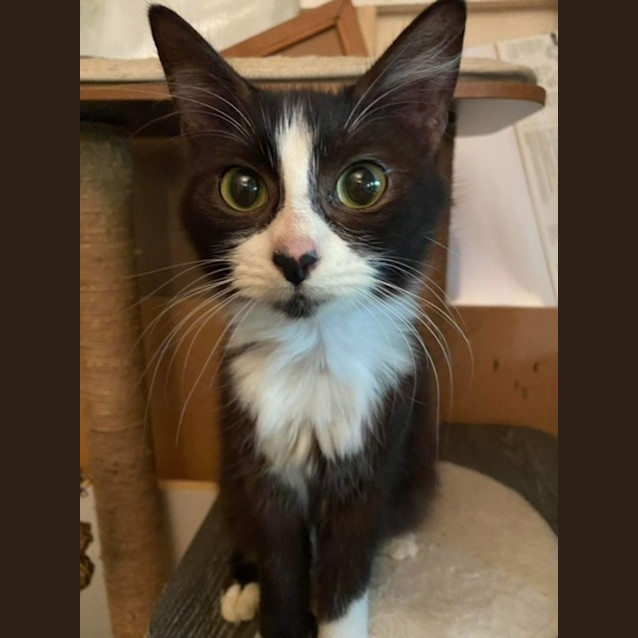 Photo of Betty