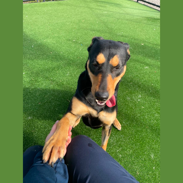 Photo of Lola Imp 849