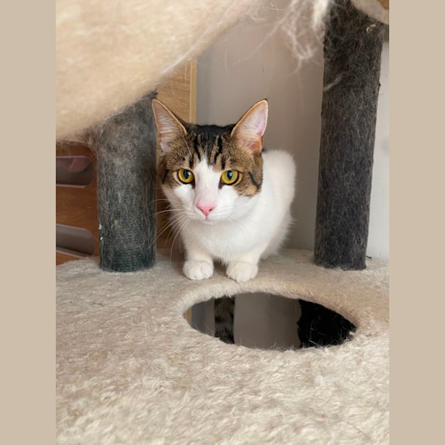 Photo of Oliver