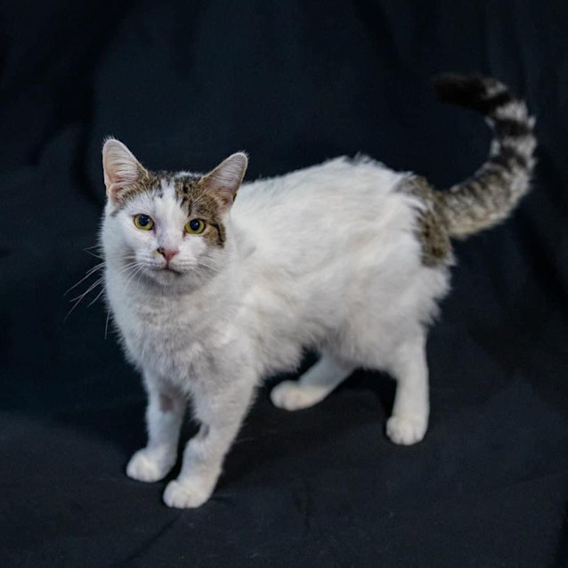 Photo of 10878   Luna