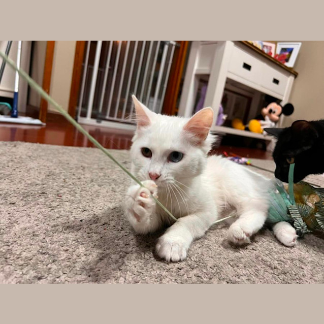 Photo of Miss Mellow