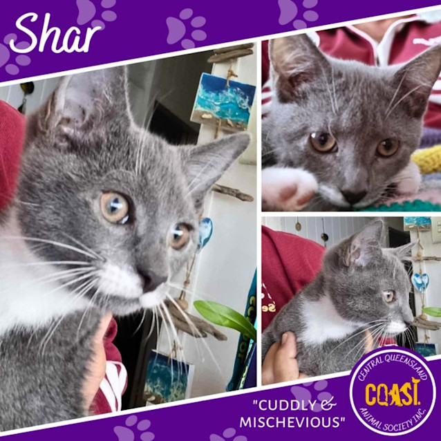 Photo of Shar