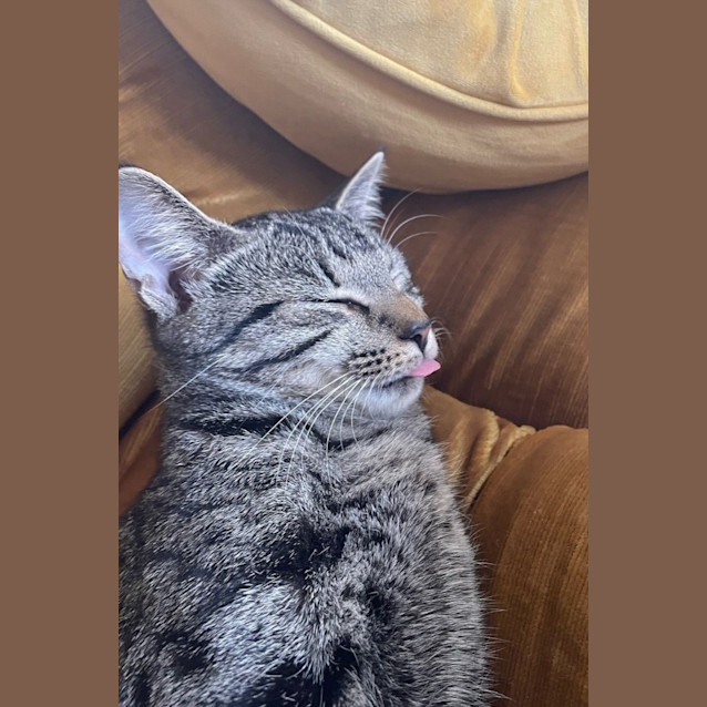Photo of Cleo