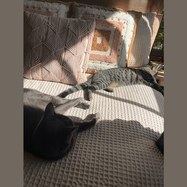 Photo of Cleo