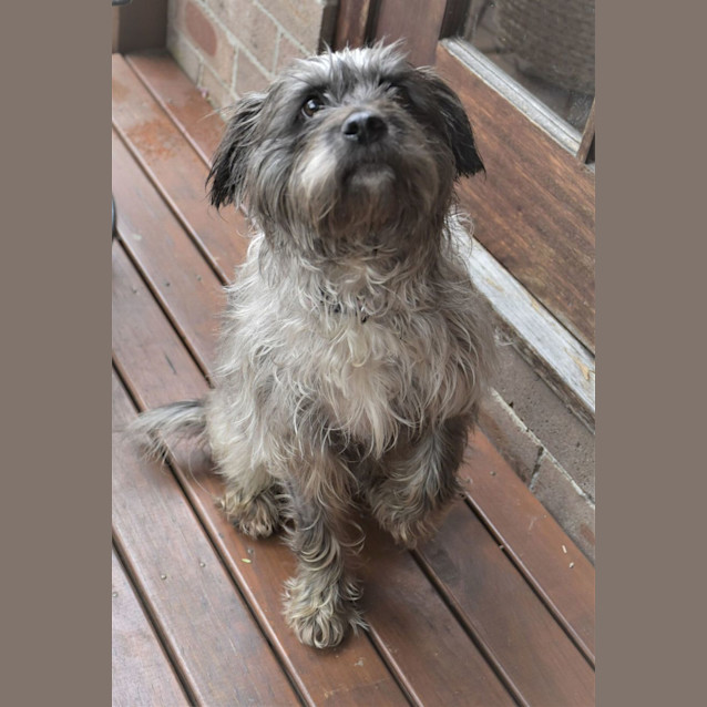 Photo of Molly