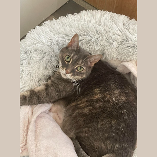 Photo of Heidi   Located In Macleod