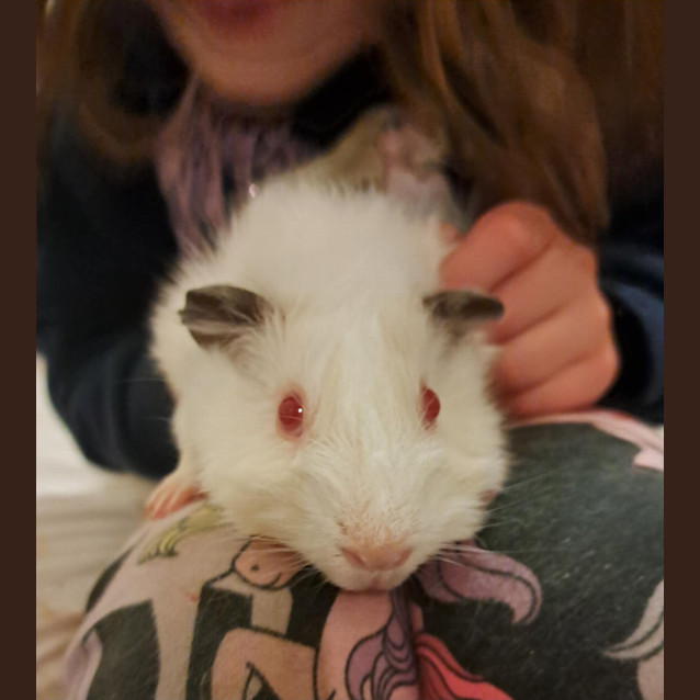 Photo of Chalk / Cheese