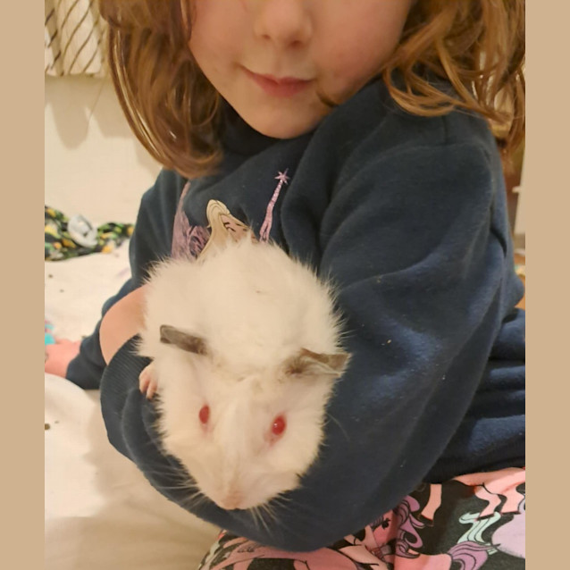 Photo of Chalk / Cheese