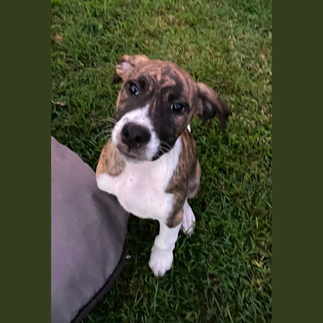 Photo of Roly